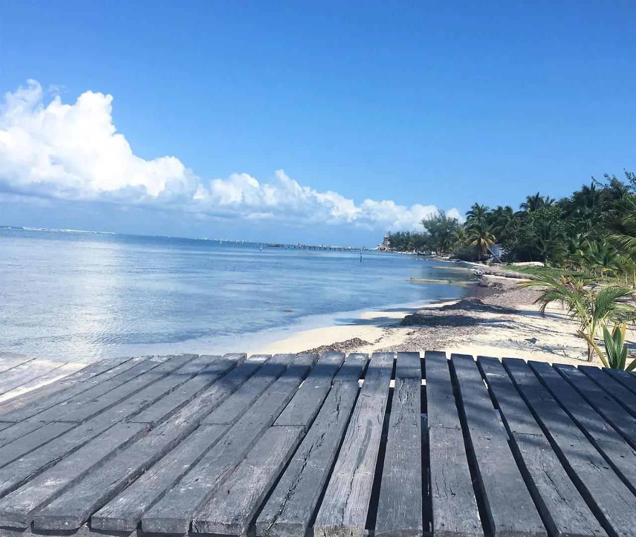 Casa Del Mar Ξενοδοχείο Isla Mujeres Πανσιόν